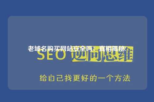 老域名购买网站安全吗：真相揭秘!