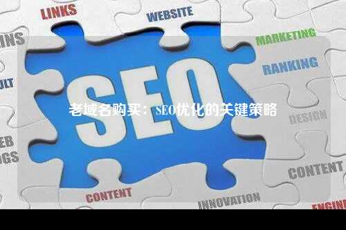 老域名购买：SEO优化的关键策略