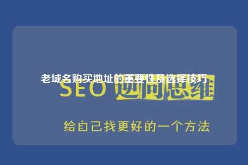 老域名购买地址的重要性及选择技巧