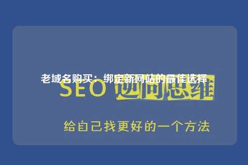 老域名购买：绑定新网站的最佳选择