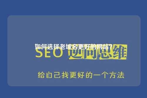 如何选择老域名更好的网站？