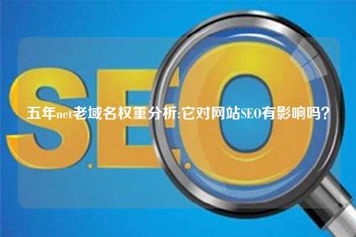 五年net老域名权重分析:它对网站SEO有影响吗？