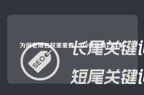 为何老域名权重重要：SEO优化技巧详解