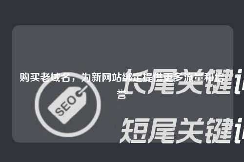 购买老域名，为新网站绑定提供更多流量和信誉